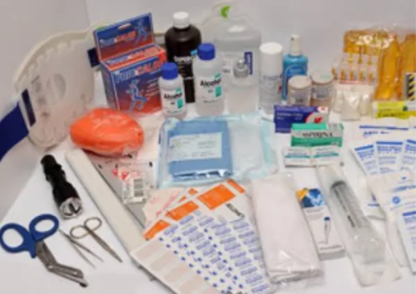 INSUMOS MEDICOS Y MEDICINAS FARMACEUTICAS